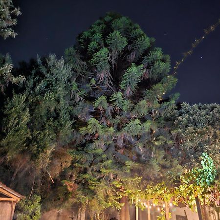 La Araucaria Cabana Con Tinaja 圣费利佩 外观 照片