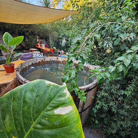 La Araucaria Cabana Con Tinaja 圣费利佩 外观 照片