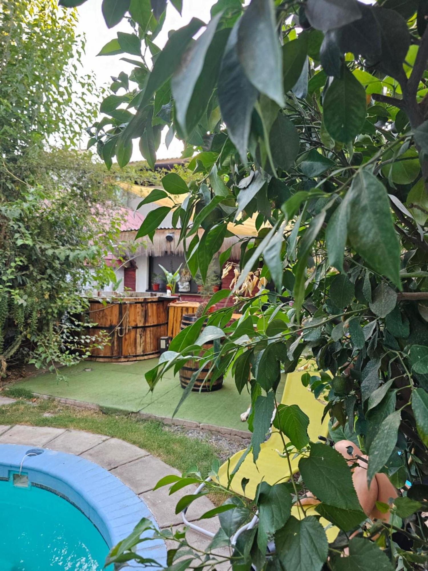 La Araucaria Cabana Con Tinaja 圣费利佩 外观 照片