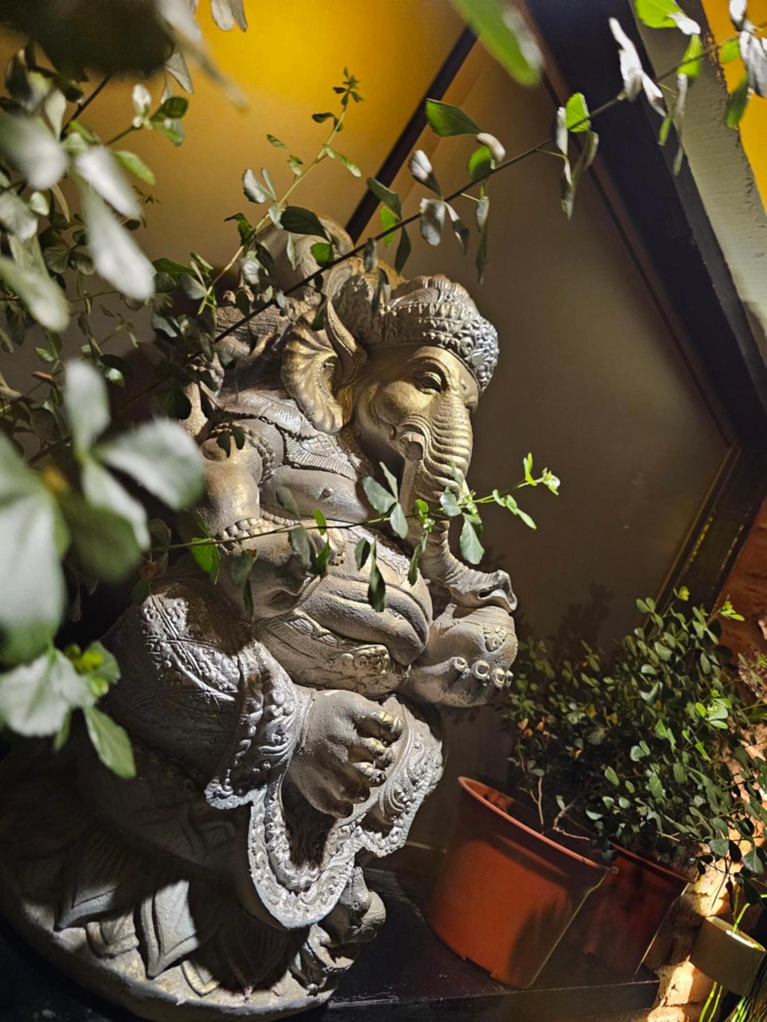 La Araucaria Cabana Con Tinaja 圣费利佩 外观 照片