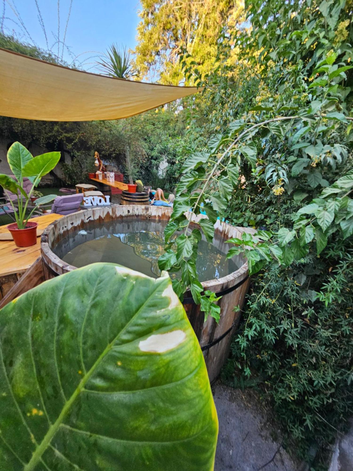La Araucaria Cabana Con Tinaja 圣费利佩 外观 照片