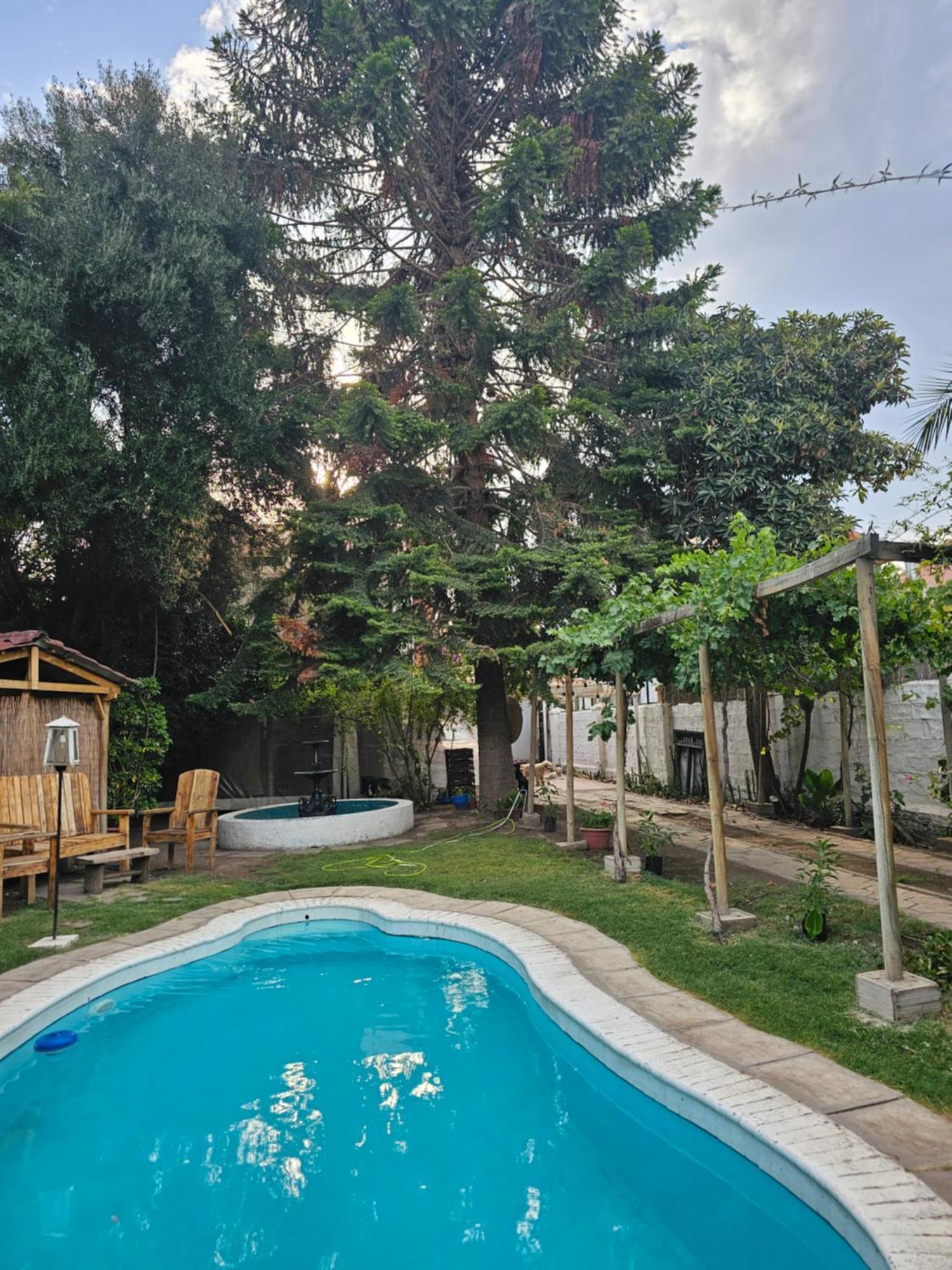 La Araucaria Cabana Con Tinaja 圣费利佩 外观 照片
