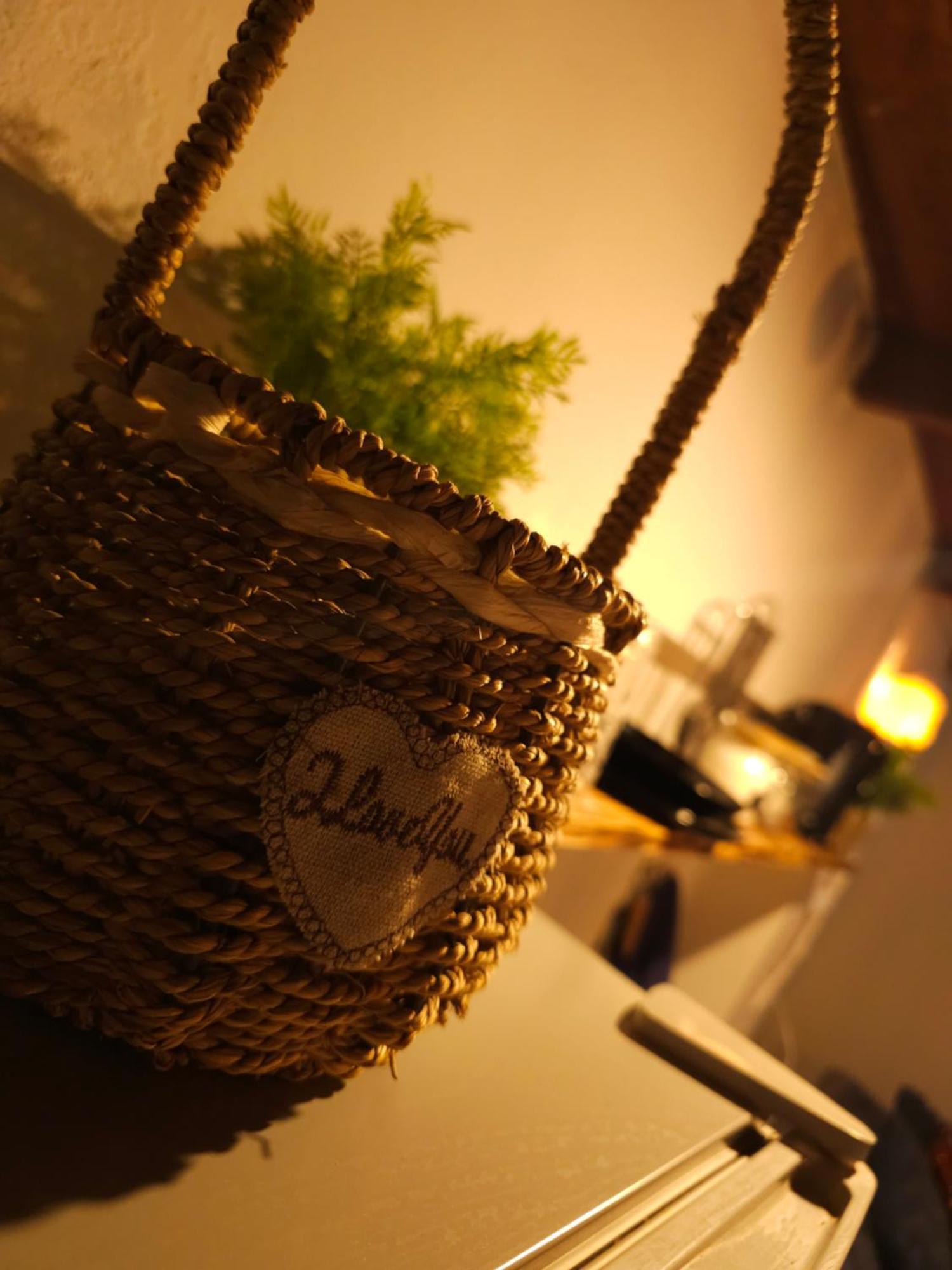 La Araucaria Cabana Con Tinaja 圣费利佩 外观 照片